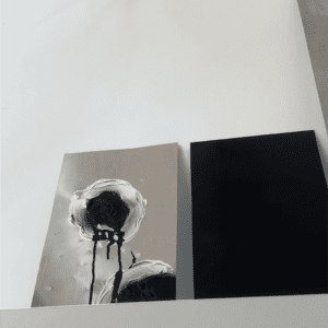 Les fleurs du mal